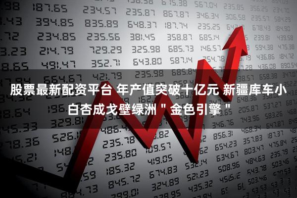 股票最新配资平台 年产值突破十亿元 新疆库车小白杏成戈壁绿洲＂金色引擎＂