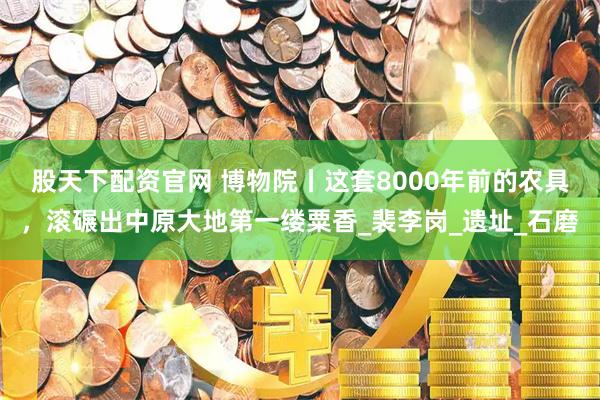 股天下配资官网 博物院丨这套8000年前的农具，滚碾出中原大地第一缕粟香_裴李岗_遗址_石磨